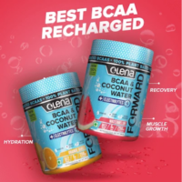 Olena FORWARD Plant Based BCAA - Image 2